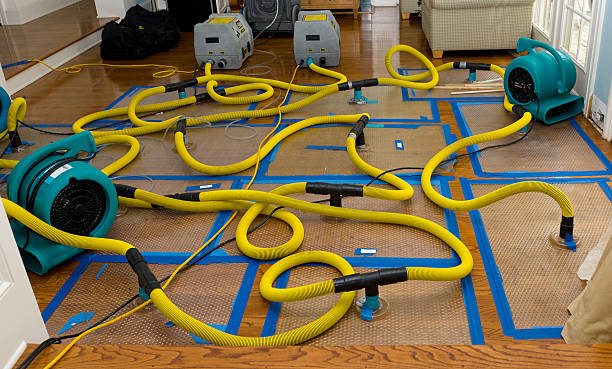 Professional Crawl Space Water Removal technician working in Splendora, TX